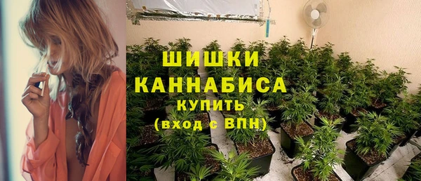 мет Арсеньев
