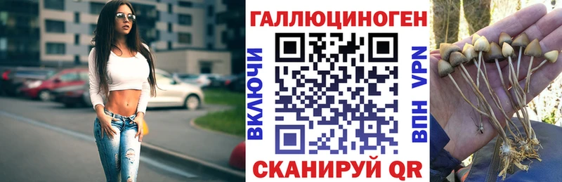 Псилоцибиновые грибы Cubensis  наркотики  Лаишево 