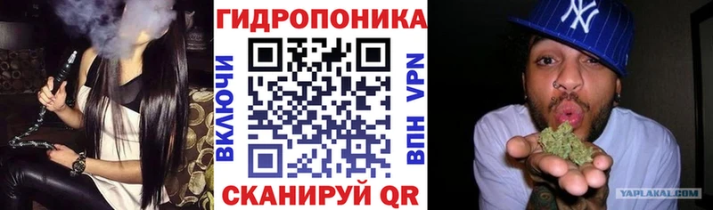 где найти   Лаишево  Канабис семена 